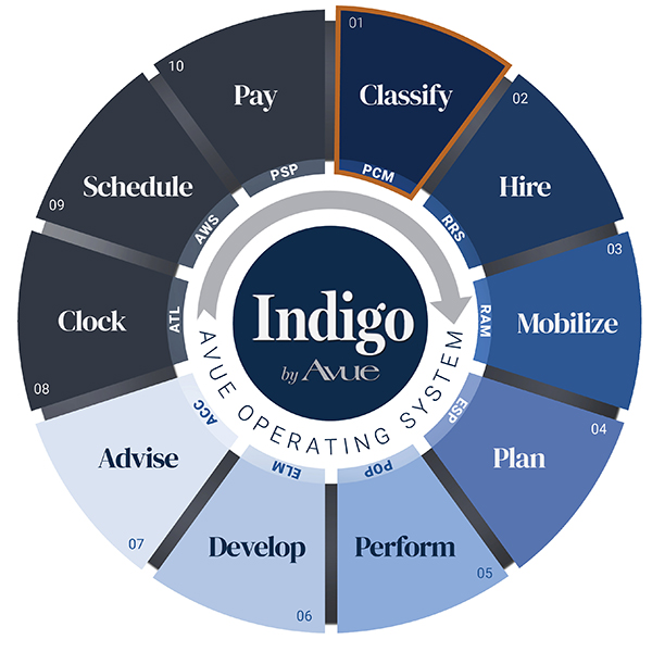 Indigo by Avue Classify Positions