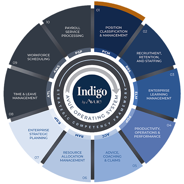 Avue Indigo Position Classification and Management